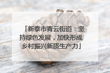 新泰市青云街道：坚持绿色发展，加快形成乡村振兴新质生产力