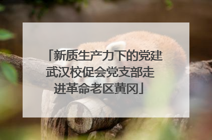 新质生产力下的党建 武汉校促会党支部走进革命老区黄冈