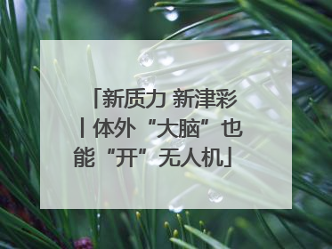 新质力 新津彩丨体外“大脑”也能“开”无人机