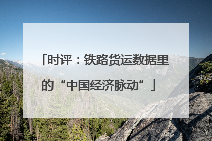 时评：铁路货运数据里的“中国经济脉动”