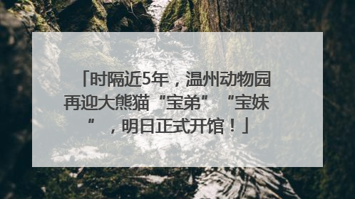 时隔近5年，温州动物园再迎大熊猫“宝弟”“宝妹”，明日正式开馆！