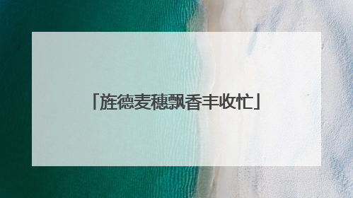 旌德麦穗飘香丰收忙