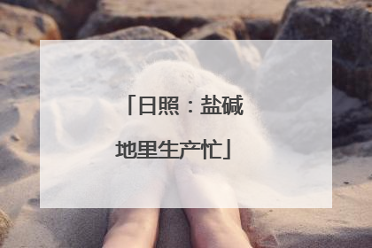 日照：盐碱地里生产忙