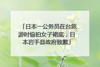 日本一公务员在台旅游时偷拍女子裙底，日本岩手县政府致歉