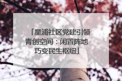 星浦社区党建引领青创空间：闲置阵地巧变民生枢纽