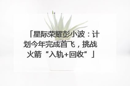 星际荣耀彭小波：计划今年完成首飞，挑战火箭“入轨+回收”