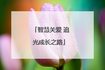 智慧关爱 追光成长之路