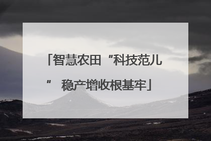 智慧农田“科技范儿” 稳产增收根基牢