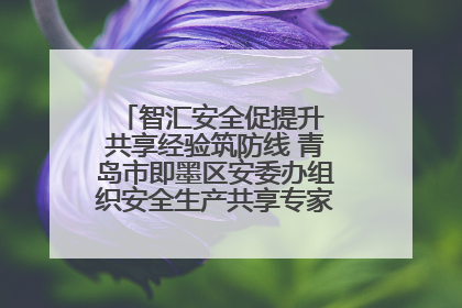 智汇安全促提升 共享经验筑防线 青岛市即墨区安委办组织安全生产共享专家现场观摩学习活动