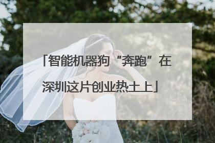 智能机器狗“奔跑”在深圳这片创业热土上