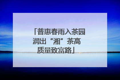 普惠春雨入茶园 润出“湘”茶高质量致富路