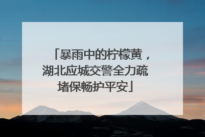 暴雨中的柠檬黄，湖北应城交警全力疏堵保畅护平安