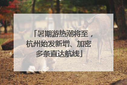 暑期游热潮将至，杭州始发新增、加密多条直达航线