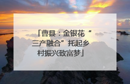 曹县：金银花“三产融合”托起乡村振兴致富梦