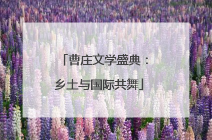曹庄文学盛典：乡土与国际共舞