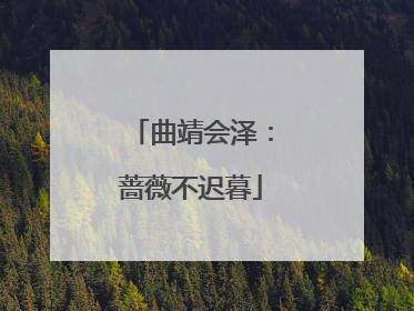 曲靖会泽：蔷薇不迟暮