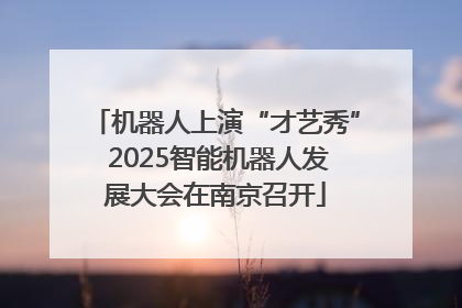 机器人上演“才艺秀” 2025智能机器人发展大会在南京召开