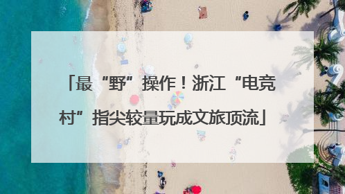 最“野”操作！浙江“电竞村”指尖较量玩成文旅顶流