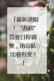 最新通知！“苏超”竞赛日程调整，南京队比赛有变！