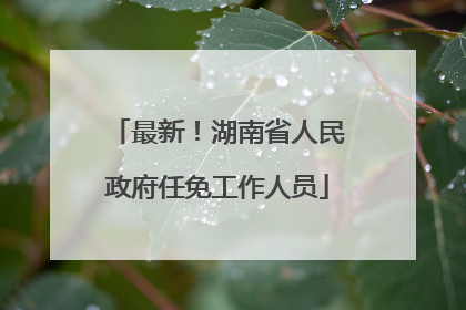 最新！湖南省人民政府任免工作人员