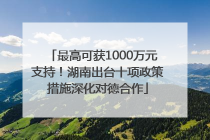 最高可获1000万元支持！湖南出台十项政策措施深化对德合作