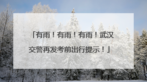 有雨！有雨！有雨！武汉交警再发考前出行提示！