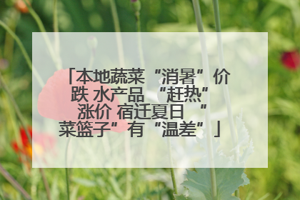 本地蔬菜“消暑”价跌 水产品 “赶热” 涨价 宿迁夏日 “菜篮子”有“温差”