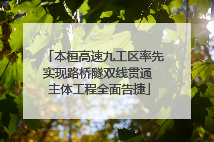 本桓高速九工区率先实现路桥隧双线贯通 主体工程全面告捷
