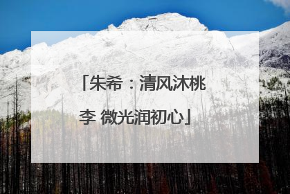 朱希：清风沐桃李 微光润初心