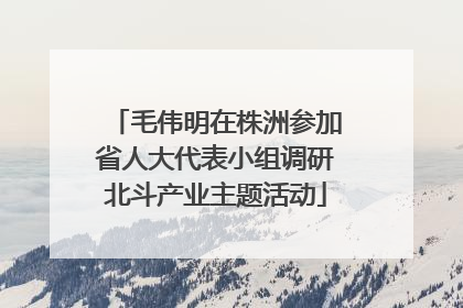毛伟明在株洲参加省人大代表小组调研北斗产业主题活动