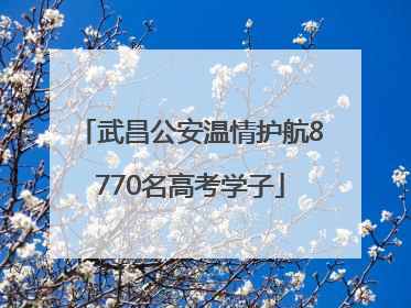 武昌公安温情护航8770名高考学子