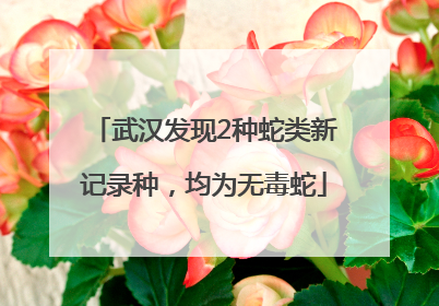 武汉发现2种蛇类新记录种，均为无毒蛇