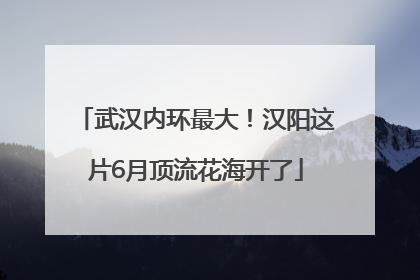 武汉内环最大！汉阳这片6月顶流花海开了