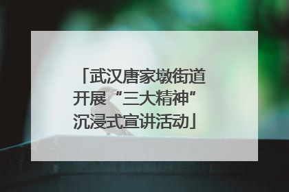 武汉唐家墩街道开展“三大精神”沉浸式宣讲活动