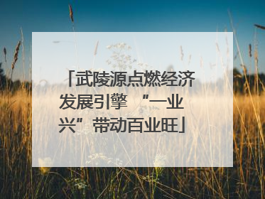 武陵源点燃经济发展引擎 “一业兴”带动百业旺