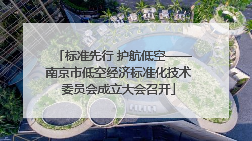 标准先行 护航低空——南京市低空经济标准化技术委员会成立大会召开