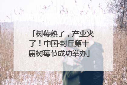 树莓熟了，产业火了！中国·封丘第十届树莓节成功举办