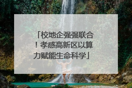 校地企强强联合！孝感高新区以算力赋能生命科学