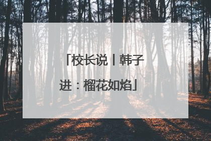 校长说丨韩子进：榴花如焰