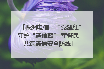 株洲电信：“党建红”守护“通信蓝” 军警民共筑通信安全防线
