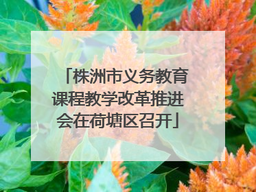 株洲市义务教育课程教学改革推进会在荷塘区召开
