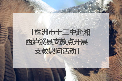株洲市十三中赴湘西泸溪县支教点开展支教慰问活动