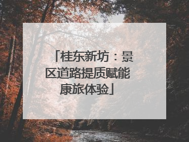 桂东新坊：景区道路提质赋能康旅体验