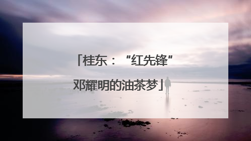 桂东：“红先锋”邓耀明的油茶梦