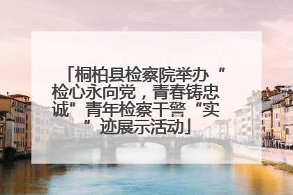 桐柏县检察院举办“检心永向党，青春铸忠诚”青年检察干警“实”迹展示活动