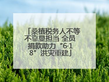 桑植税务人不等不靠显担当 全员捐款助力“6·18”洪灾重建
