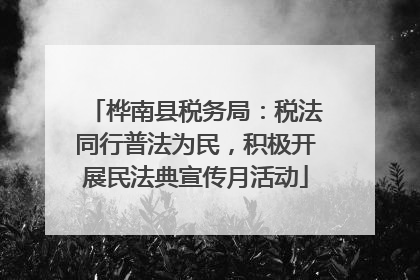 桦南县税务局：税法同行普法为民，积极开展民法典宣传月活动