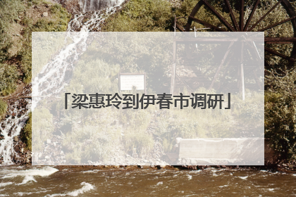 梁惠玲到伊春市调研