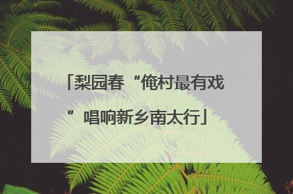 梨园春“俺村最有戏”唱响新乡南太行