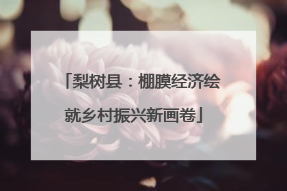 梨树县：棚膜经济绘就乡村振兴新画卷